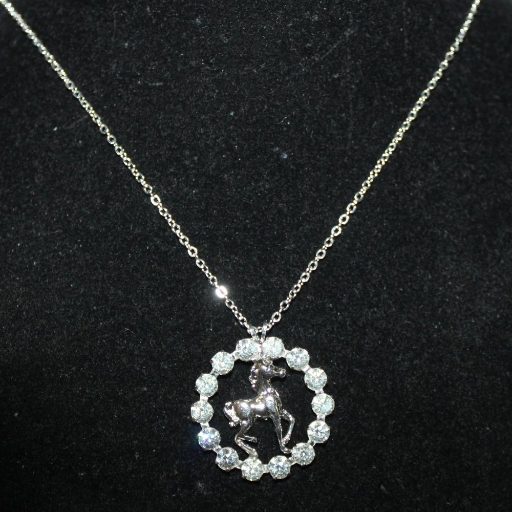 Beautiufl Baby Silver Foal in Clear crystal Circle Necklace